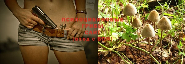 PSILOCYBIN Абаза