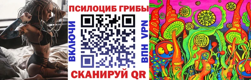 Галлюциногенные грибы GOLDEN TEACHER  blacksprut зеркало  Зеленодольск  дарнет шоп 